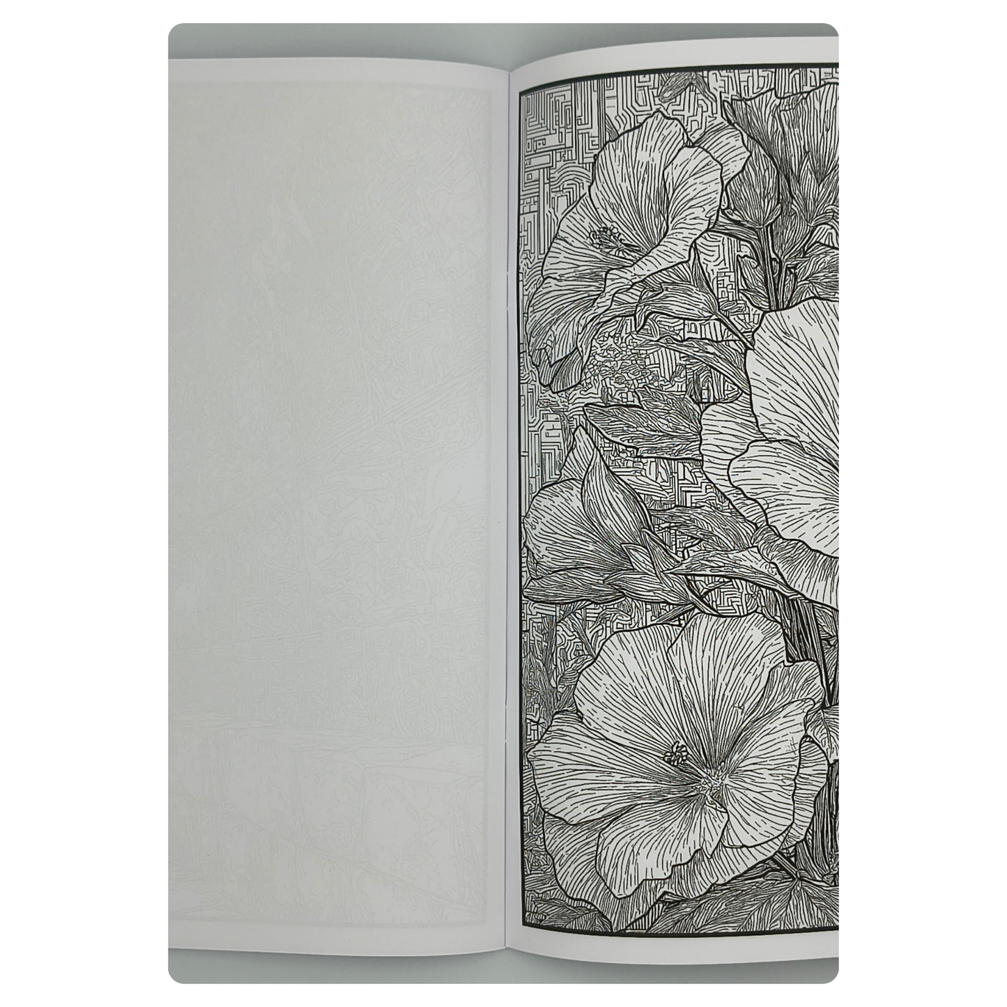 Live Like the Toltecs – Adults Historical Colouring Book | A–Z Intricate Designs