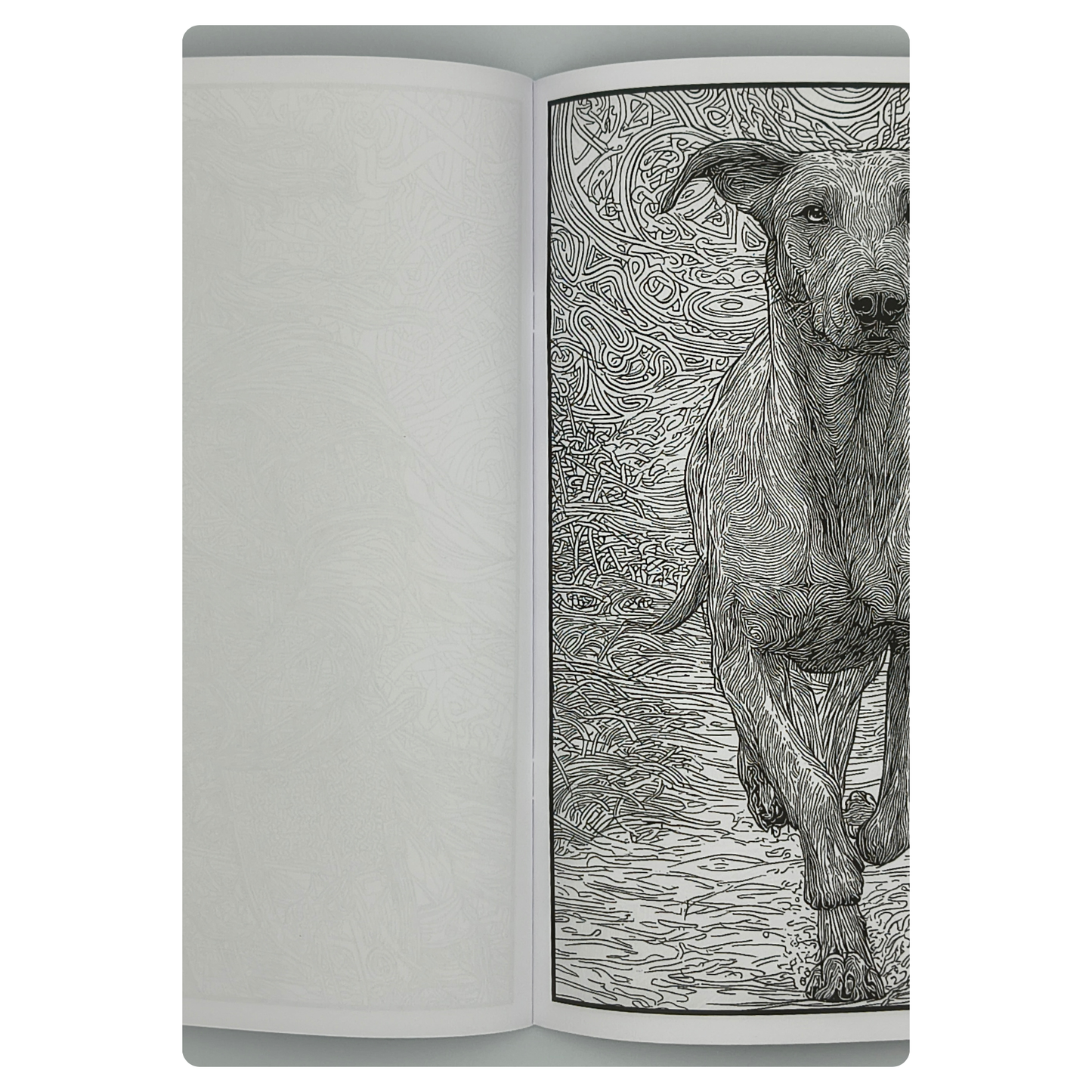 Live Like the Anglo-Saxons – Adults Historical Colouring Book | A–Z Intricate Designs