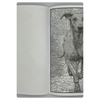 Live Like the Anglo-Saxons – Adults Historical Colouring Book | A–Z Intricate Designs