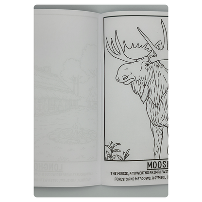 Live Like the Vikings – Children’s Historical Colouring Book | A–Z Activities & Learning