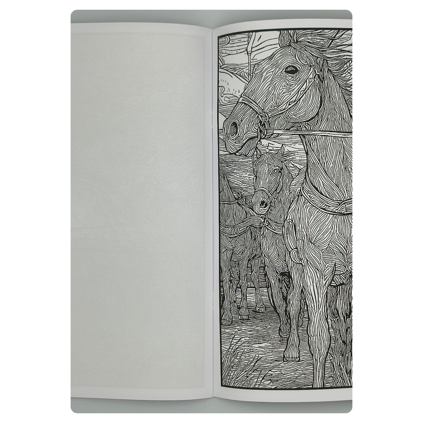 Live Like the Khitans – Adults Historical Colouring Book | A–Z Intricate Designs